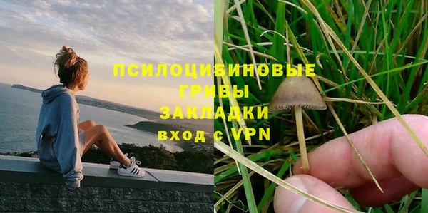 соль курить ск Нязепетровск