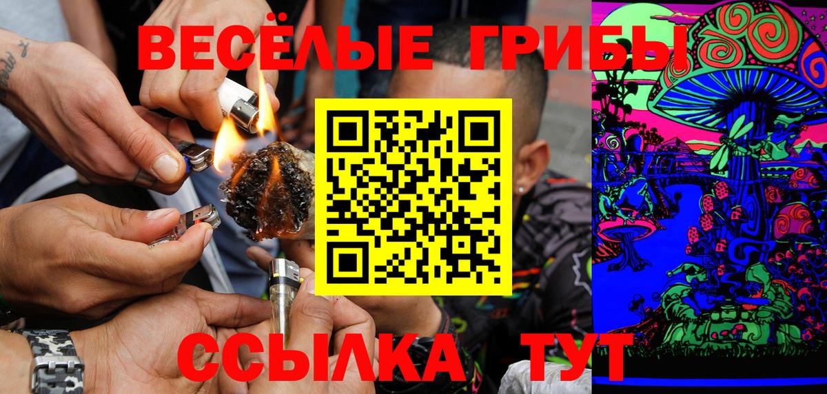 Псилоцибиновые грибы мицелий  Вход с VPN  Ржев 