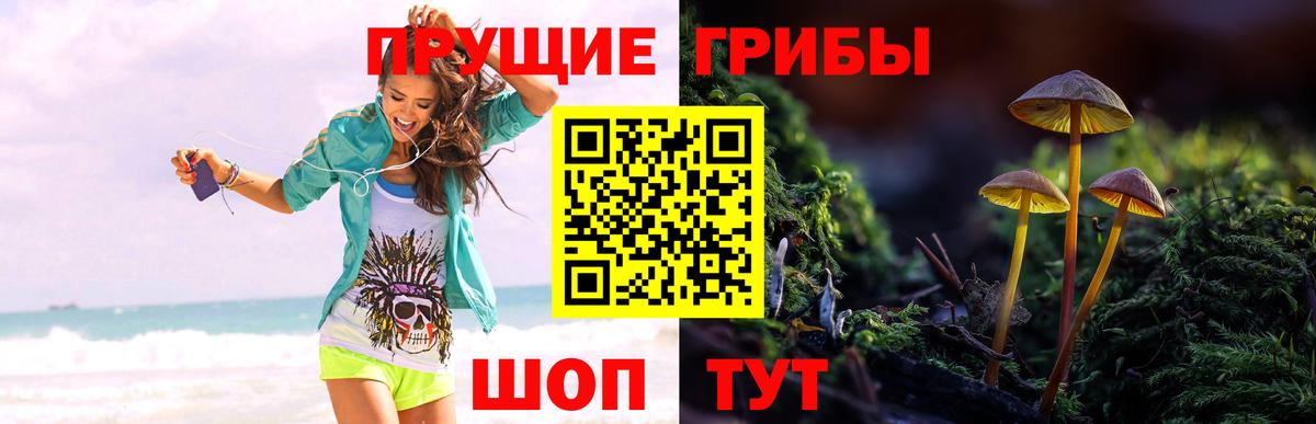 Гашиш Ржев